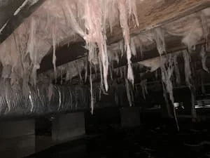 Crawl space with white vapor barrier encapsulation and support posts