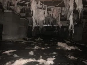 Crawl space with visible mold growth, moisture damage, and condensation on surfaces before remediation