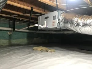 Encapsulated crawl space with vapor barrier and mounted dehumidification unit