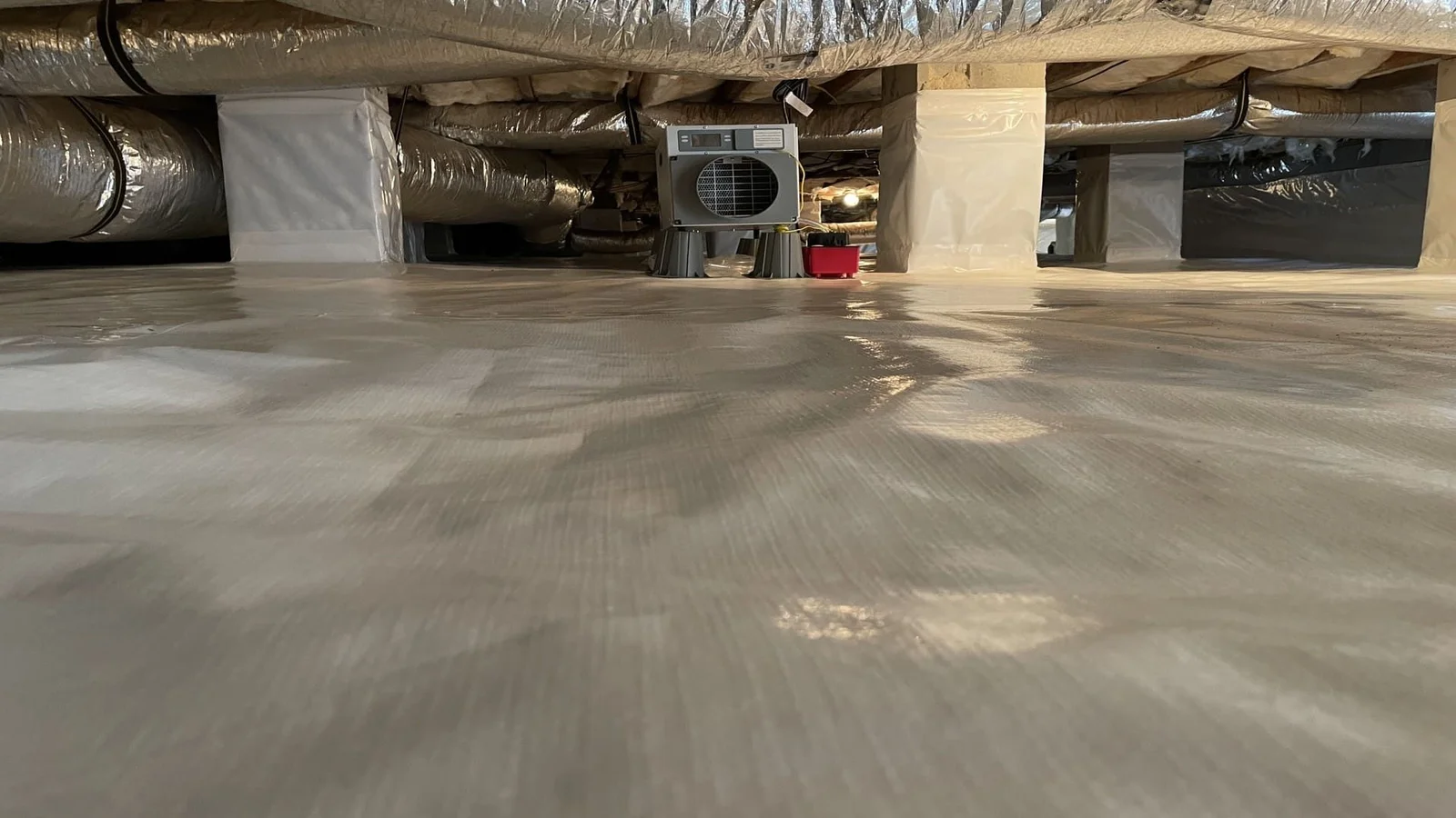 A sealed crawl space beneath a Grimesland, NC home with a heavy-duty vapor barrier covering the ground and walls, showing a dry and clean encapsulated environment. Foundation vents are closed and the subfloor framing above is visible and free of moisture damage.