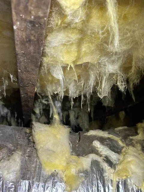 A Crawl Space Pro technician removing deteriorated crawl space insulation from beneath a Grimesland, NC home, with debris and old batt material being cleared from the joist bays. The crawl space floor is visible with a cinder block foundation wall in the background.
